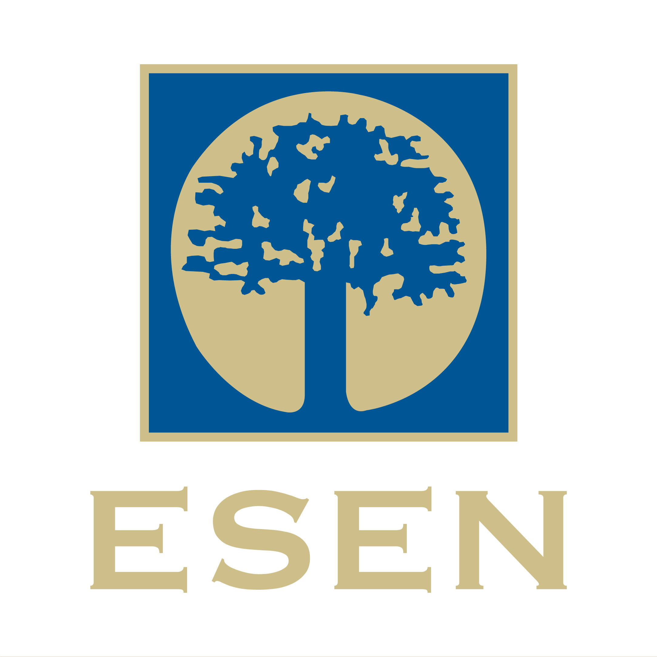 ESEN University